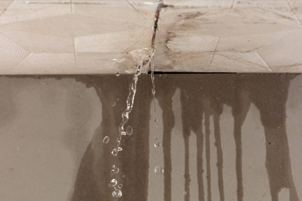 Professional Sewage Cleanup technician working in Britton, MI
